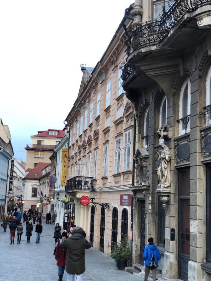 Pleasant Apartment Under The Bratislava Castle المظهر الخارجي الصورة