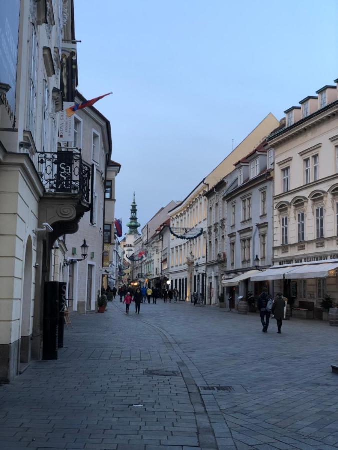 Pleasant Apartment Under The Bratislava Castle المظهر الخارجي الصورة
